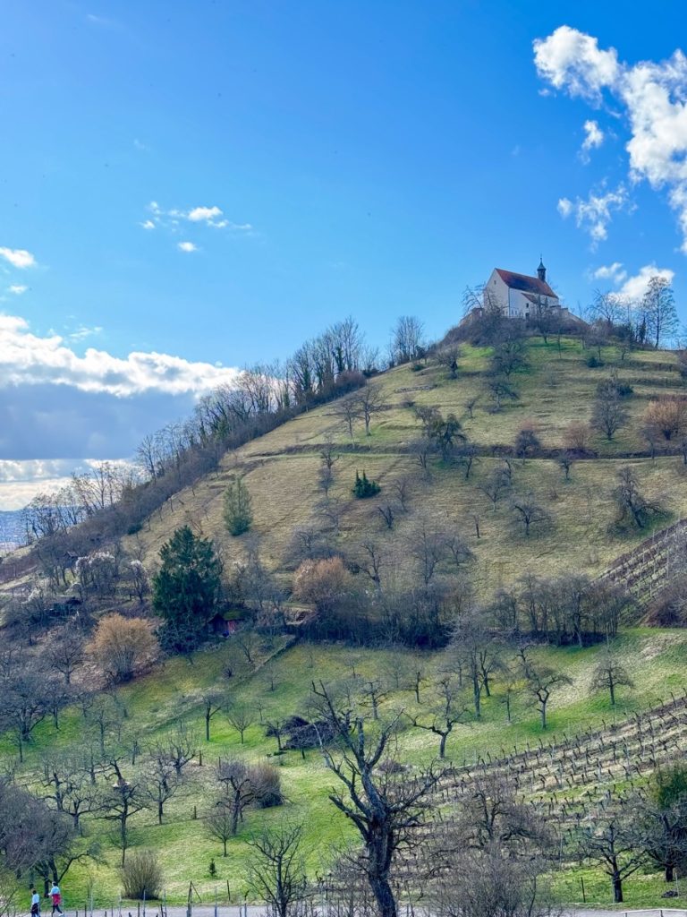 Das „Hirschauer Spitzbergwegle“