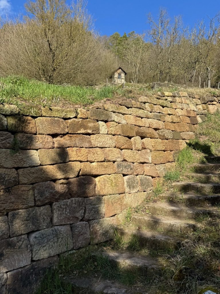 Trockenmauern am Hirschauer Spitzbergwegle