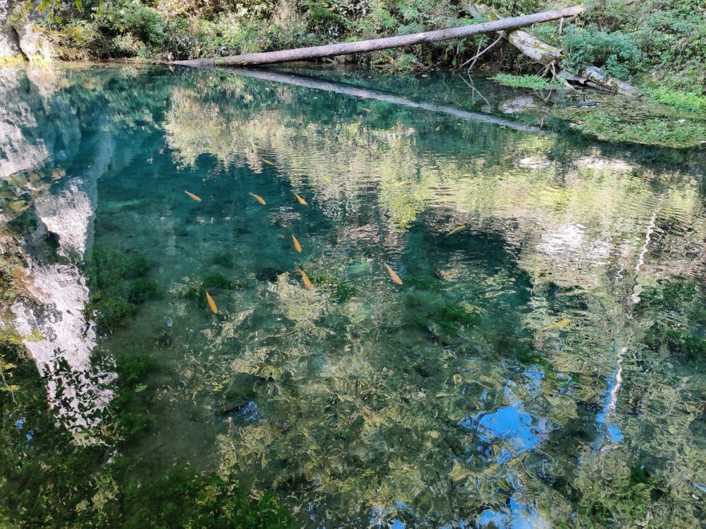 Glastal/Zwiefalter Ach