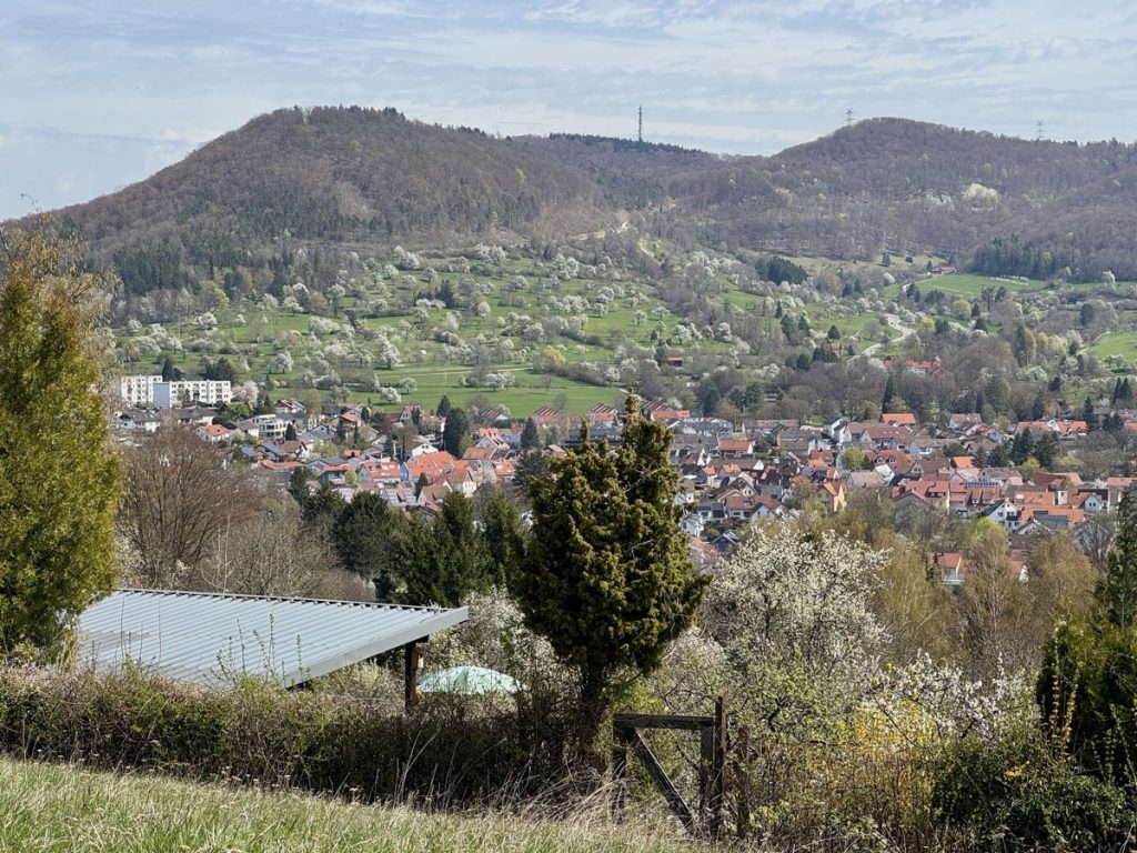 Blick auf Eningen und den Albtrauf mit den Streuobstwiesen