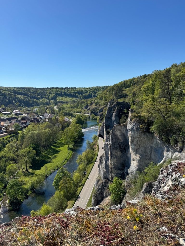 Blick vom Felsen ins DonauTal