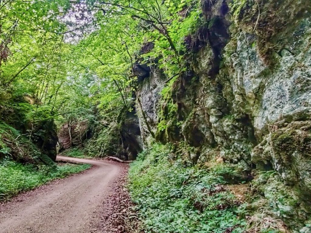 Trailfinger Schlucht
