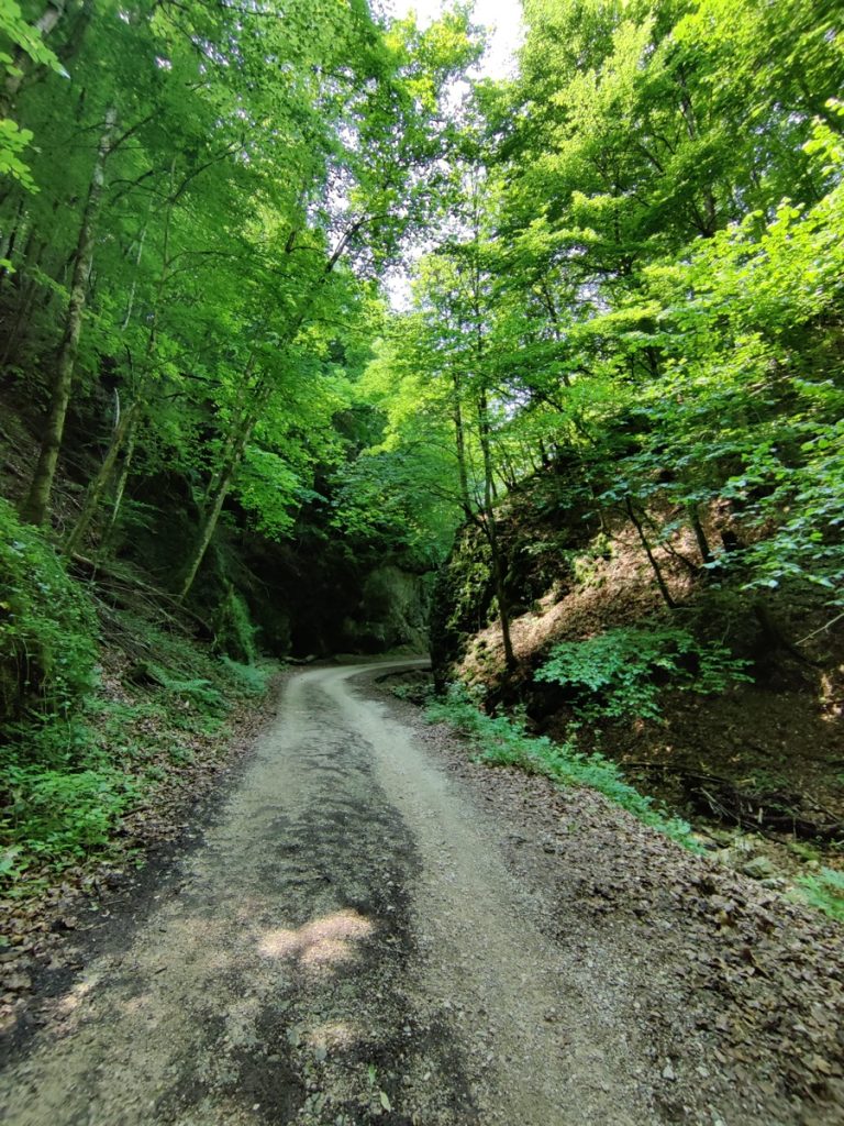 Trailfinger Schlucht